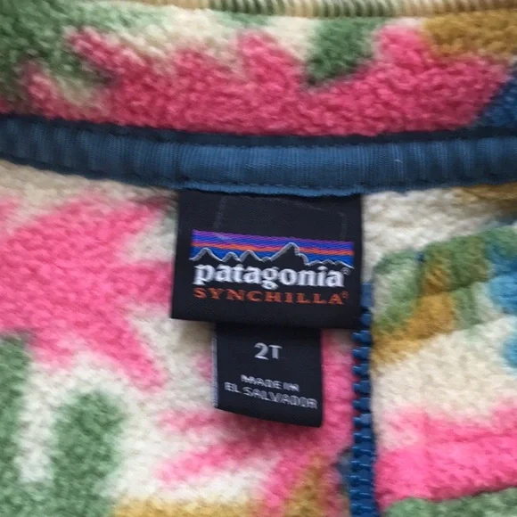 Patagonia Fleece Vest (size 2T)